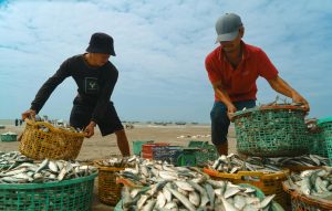 Giao diện bắn cá ngũ long với nhiều mục tiêu xuất hiện trên màn hình