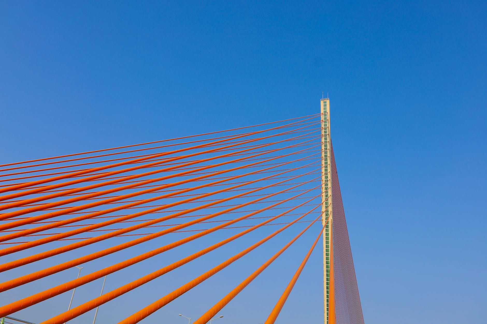 Khoảnh khắc hai chiến kê di chuyển và né đòn trong một trận đấu