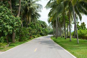 Người chơi theo dõi bảng thống kê và ghi chú để soi lô trượt