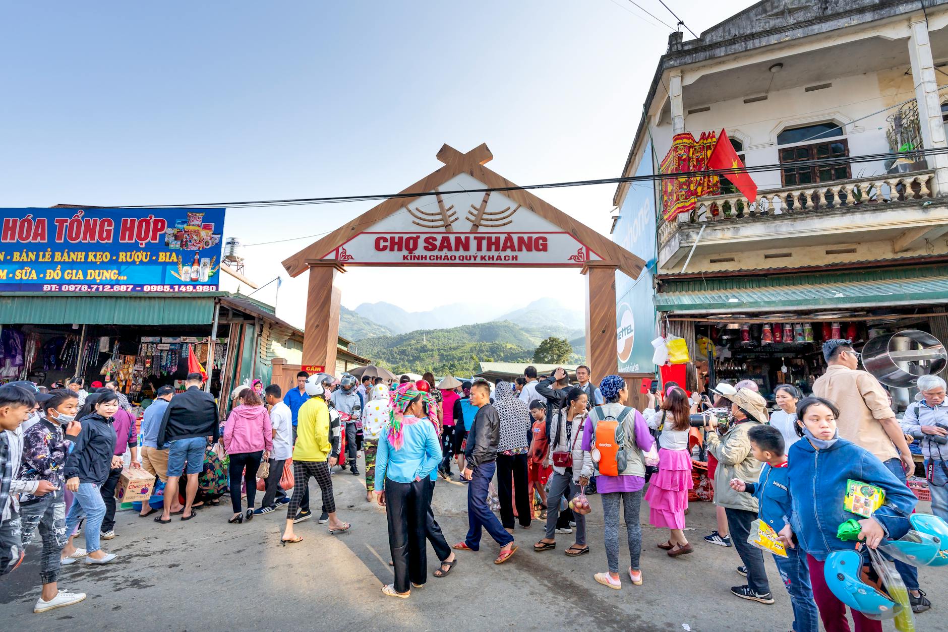 Chiến kê chờ vào trận trong khu vực chuẩn bị trước giờ thi đấu