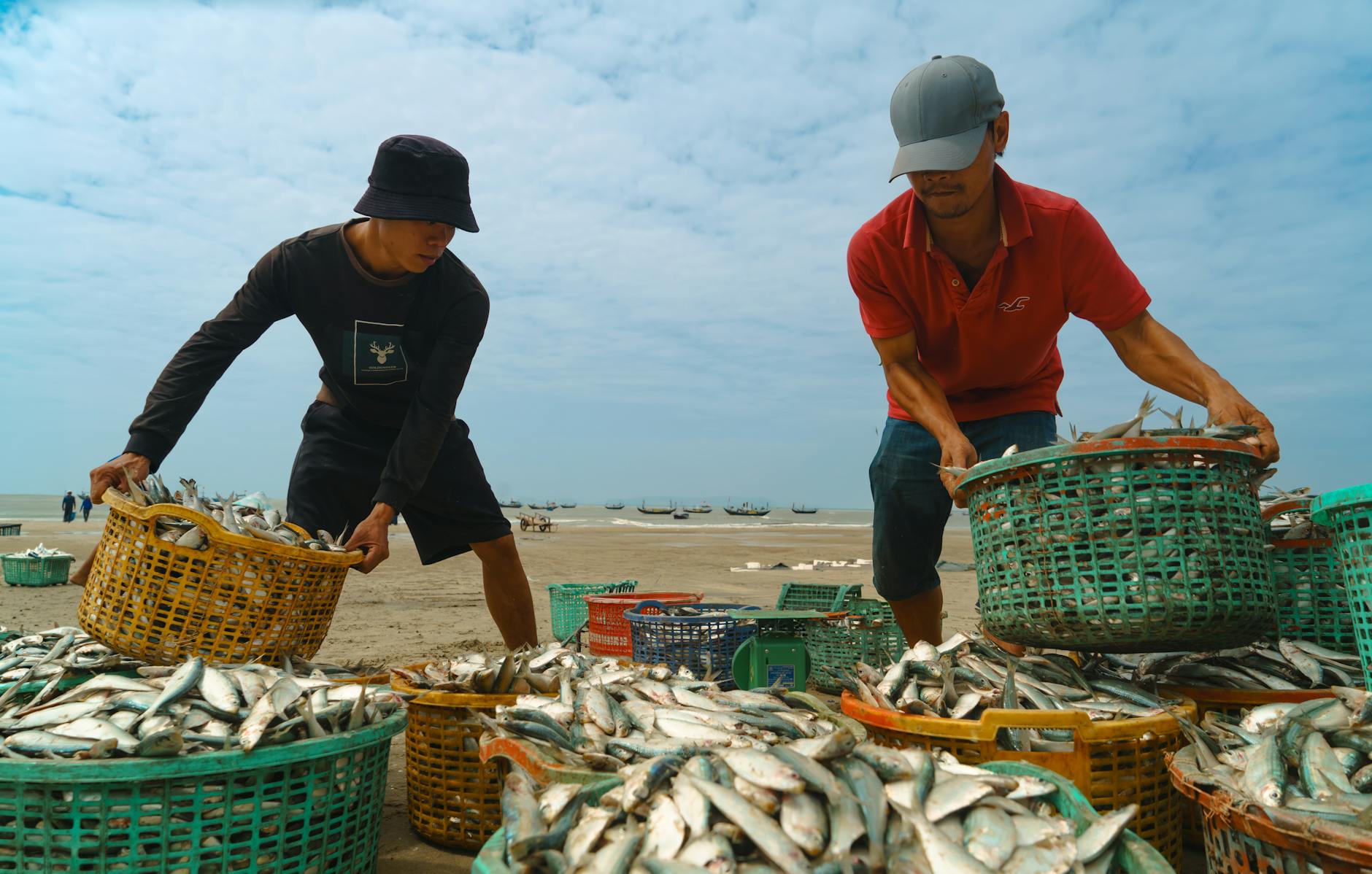 Giao diện vua đánh cá với đại bác và nhiều loại cá trên màn hình
